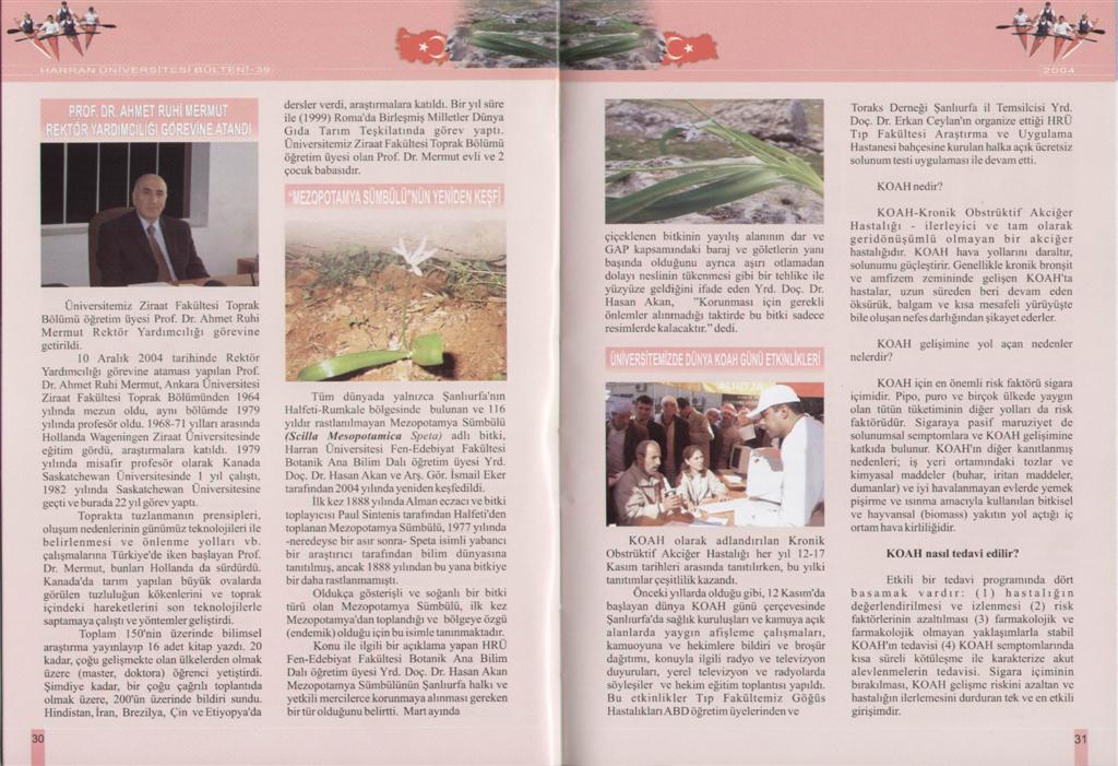 Image - SWScan0000800757.JPG
