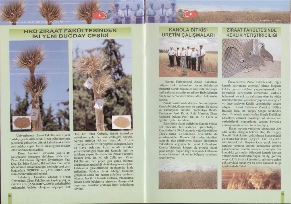 Image - SWScan0000800795.JPG
