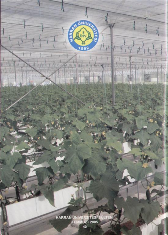 Image - SWScan0000800807.JPG