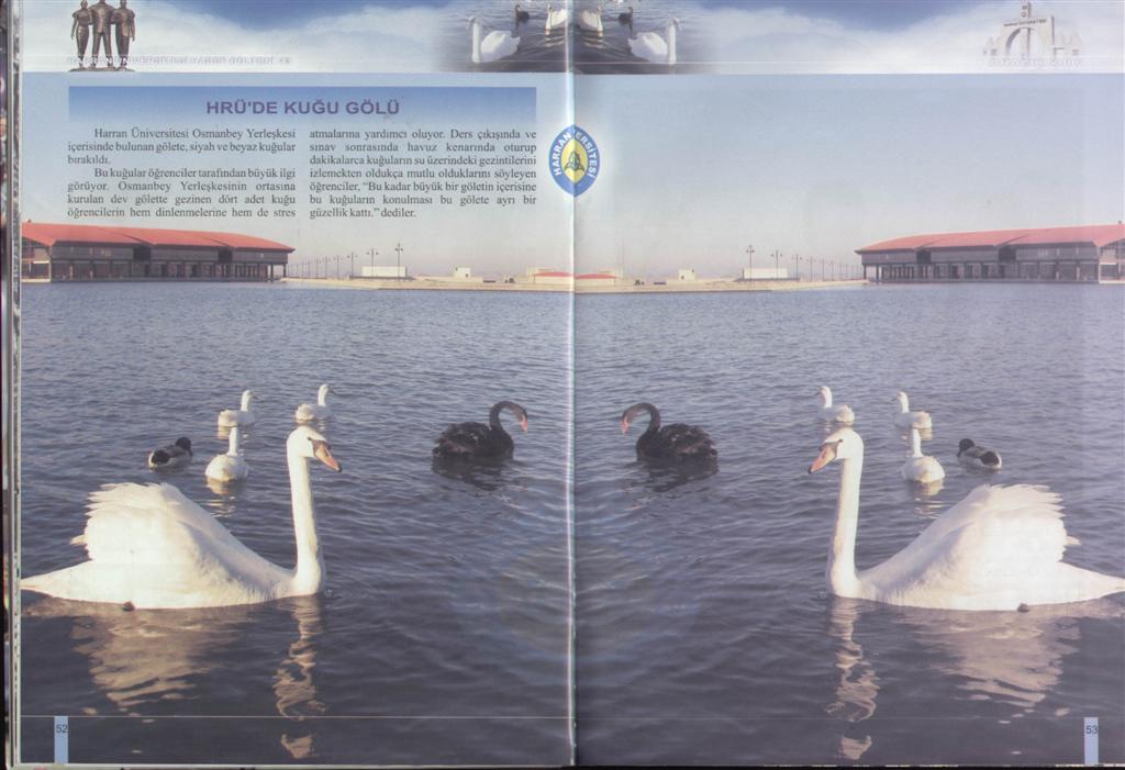 Image - SWScan0000800911.JPG